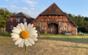 Ferienwohnung Elbsegler